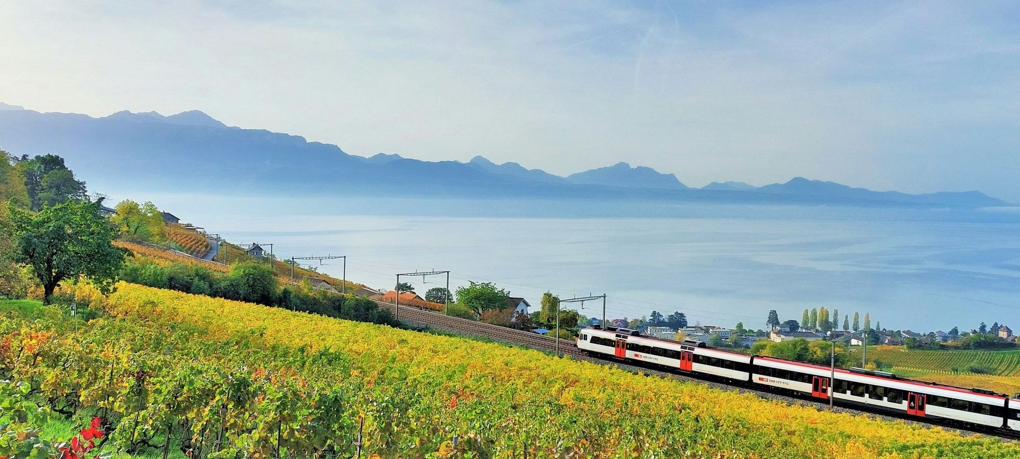 Reisen Sie kostenlos